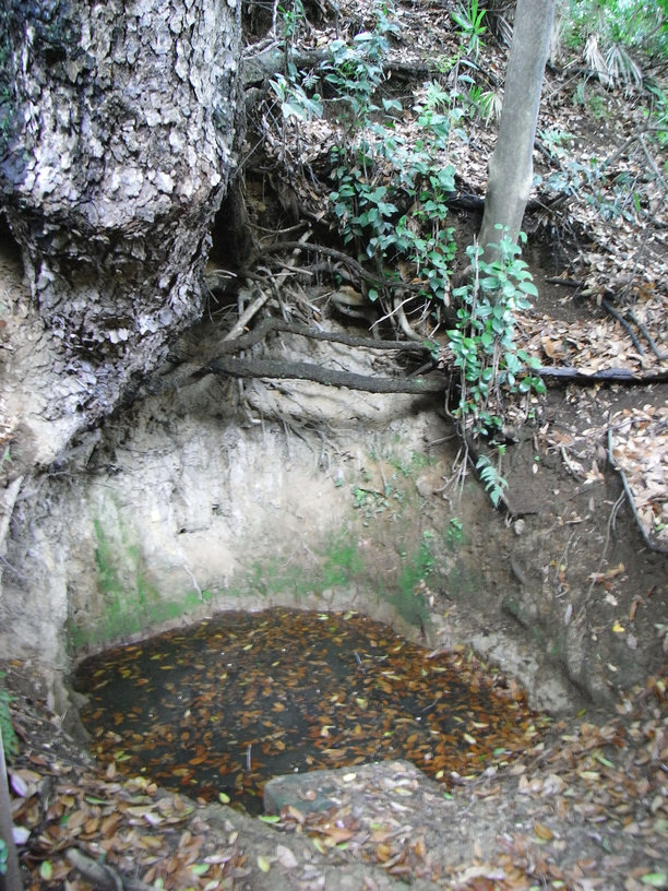 e0031605_18481731.jpg