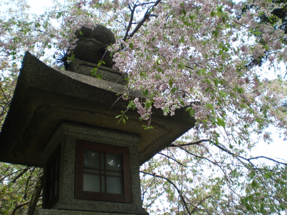 a0100206_211646.jpg