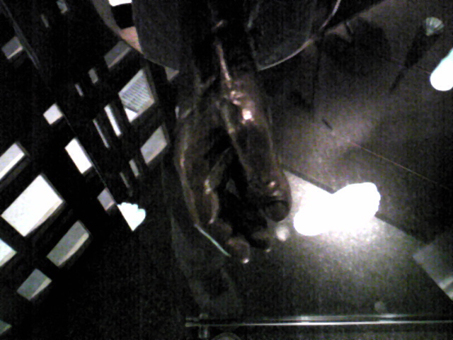 a0100206_21482621.jpg