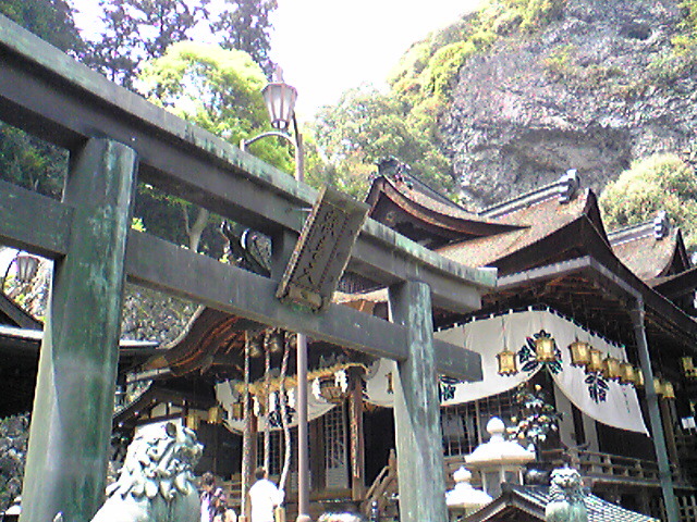 a0100206_2191378.jpg