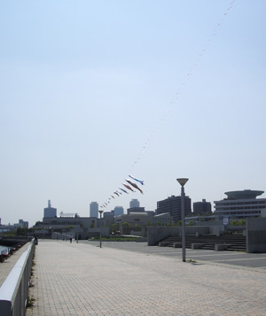 a0019212_12414739.jpg