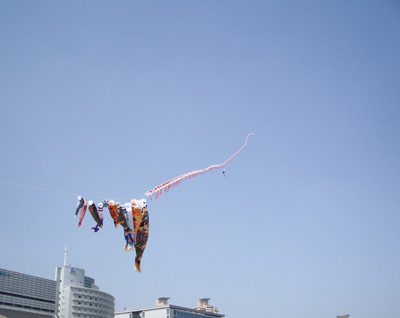a0019212_12424031.jpg