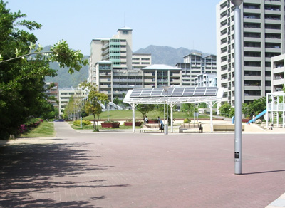 a0019212_138491.jpg