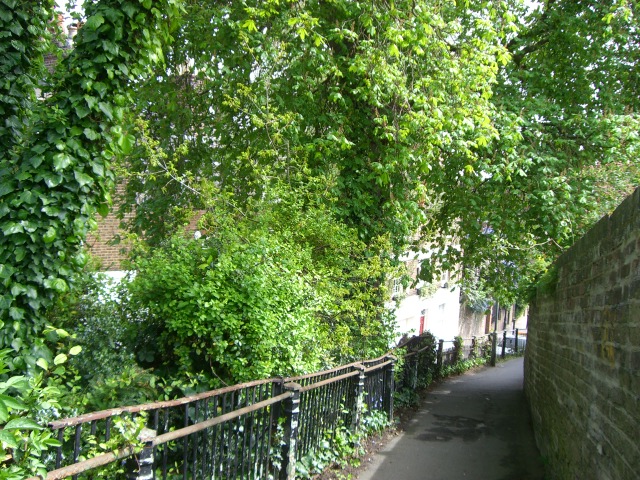 f0077414_938466.jpg