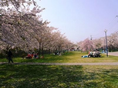 d0087418_059581.jpg