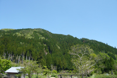 b0019820_22124447.jpg
