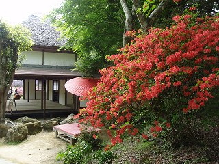 b0008825_10221.jpg