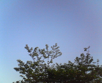 f0161329_15463689.jpg