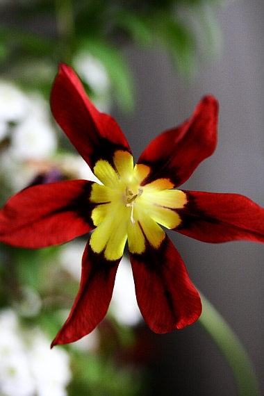 d0135330_1337655.jpg
