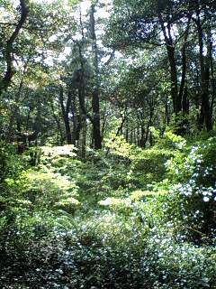 f0118332_20361556.jpg
