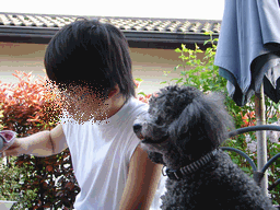 c0136736_2037457.gif