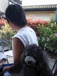 c0136736_20384238.gif