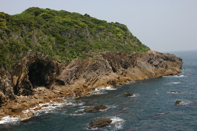 e0083238_23521897.jpg