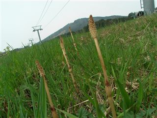 b0102639_10385324.jpg