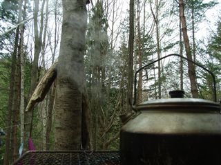 b0102639_1105744.jpg
