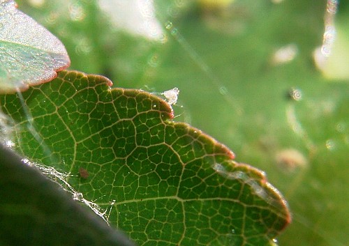 c0072843_7595237.jpg