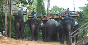 d0039443_1721640.jpg