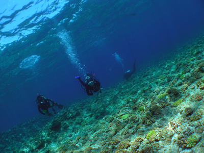 d0065247_0474439.jpg