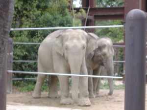 d0065149_2344489.jpg