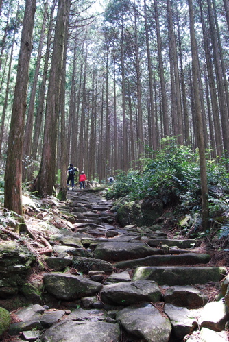 f0151254_22203251.jpg