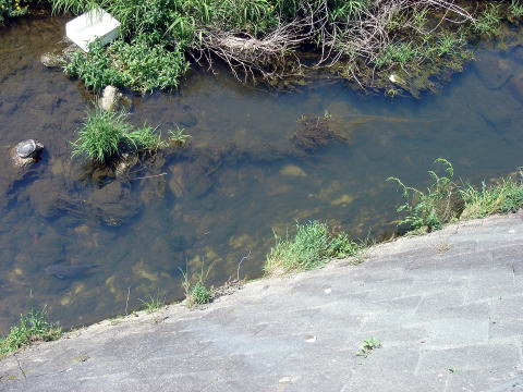 e0083155_2221687.jpg