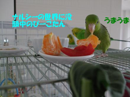 f0149057_0271111.jpg