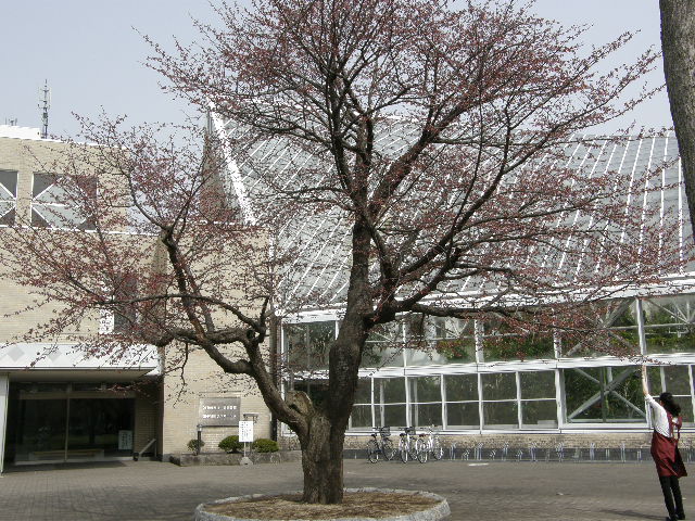 d0153062_10225550.jpg