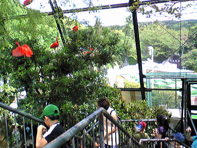 c0138868_218151.jpg