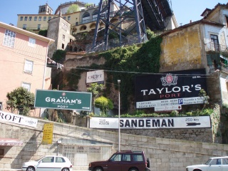 b0086476_163719.jpg