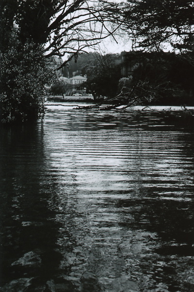 c0143579_14371418.jpg