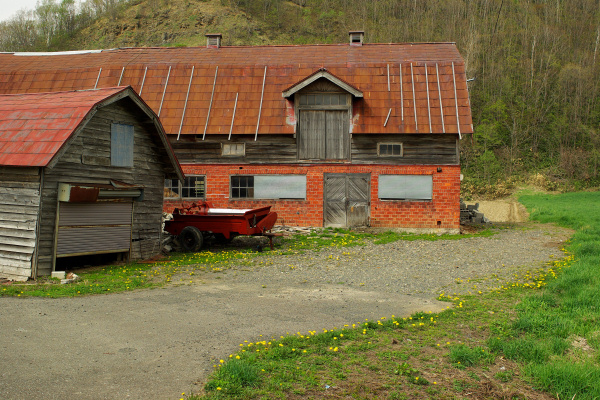 e0051186_636351.jpg
