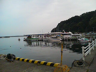 a0024891_175528100.jpg