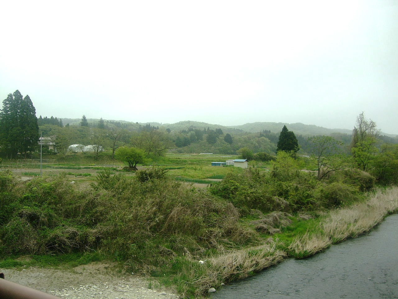 f0100593_15445995.jpg