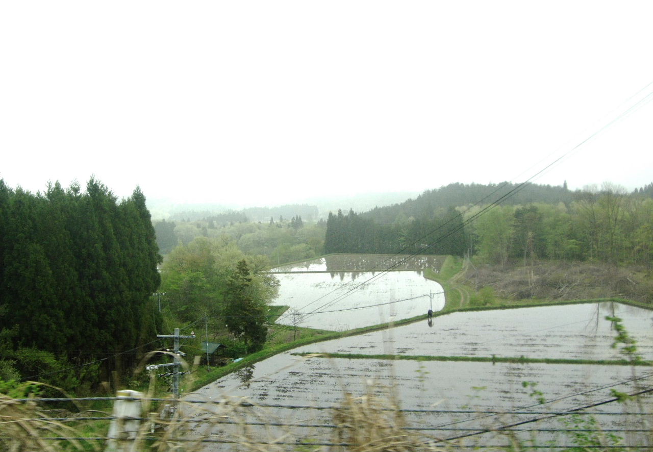 f0100593_15455656.jpg