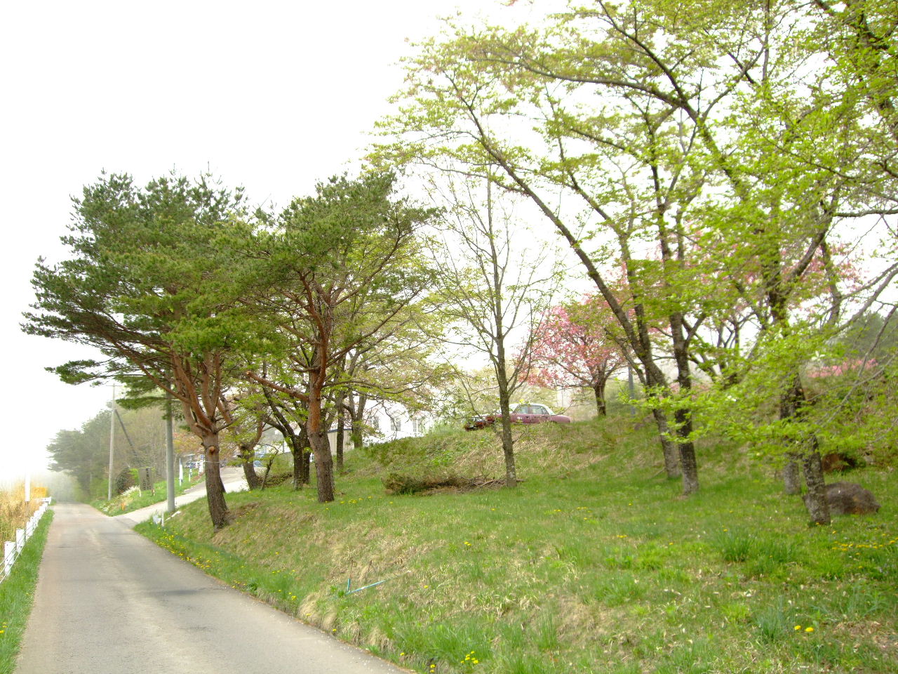 f0100593_15461749.jpg