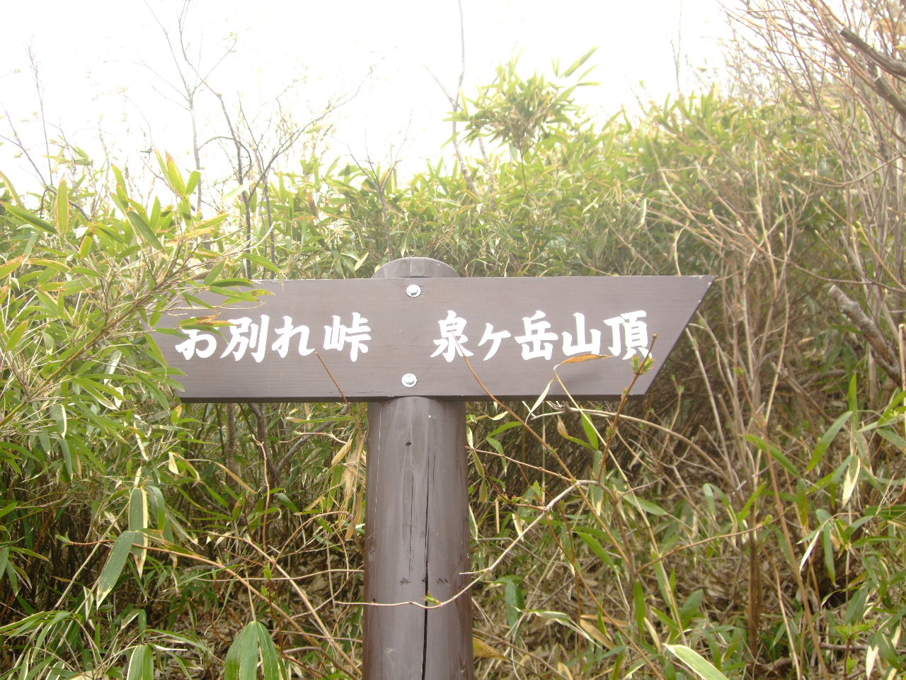 f0100593_1605585.jpg
