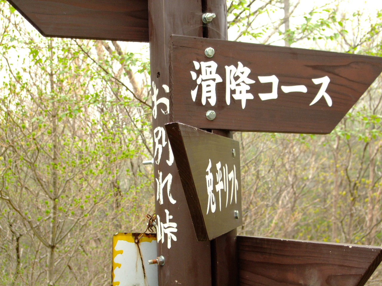 f0100593_1641254.jpg