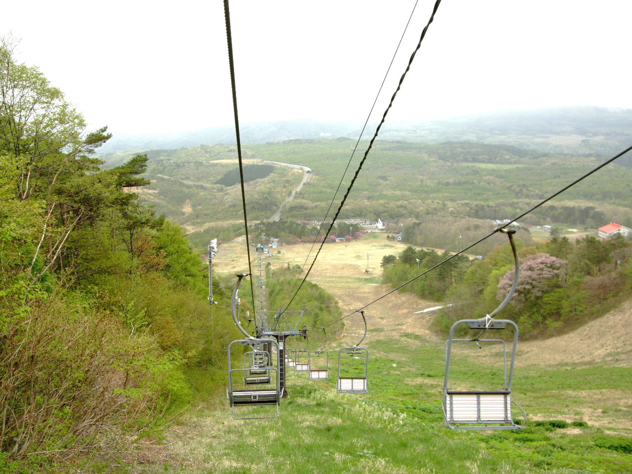 f0100593_1643763.jpg