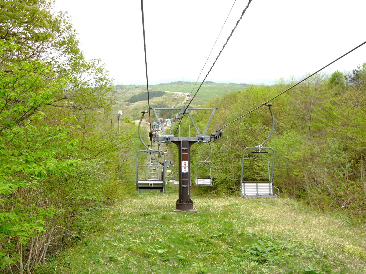f0100593_1653100.jpg