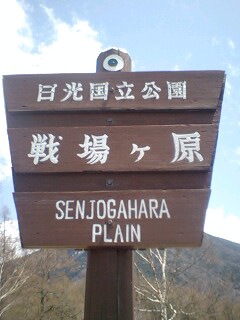 b0052195_13151340.jpg