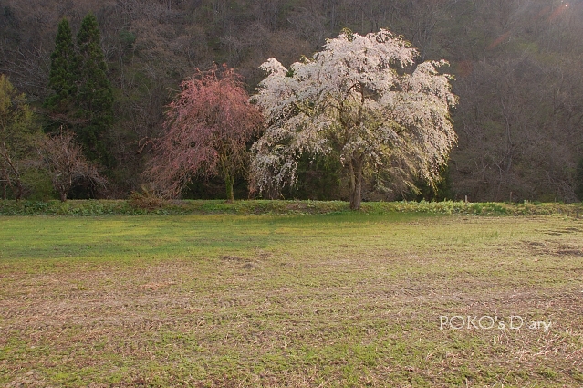 c0134295_1694658.jpg