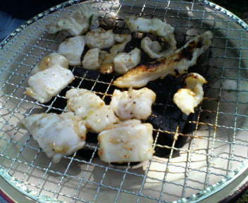 e0140496_6381751.jpg