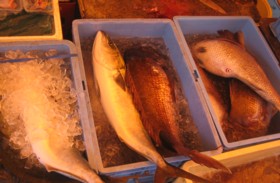 f0027396_23334814.jpg
