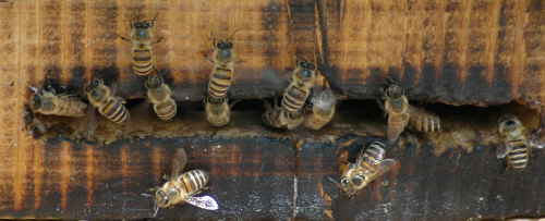 d0122497_12026.jpg