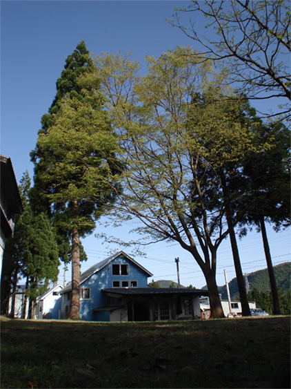 a0061599_7331514.jpg