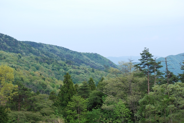 d0091700_011296.jpg