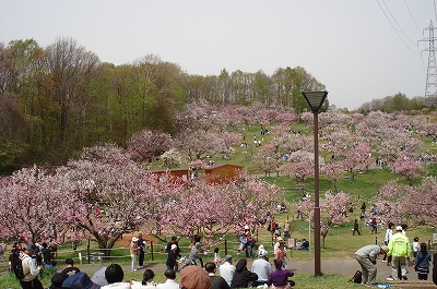 a0050802_1152316.jpg