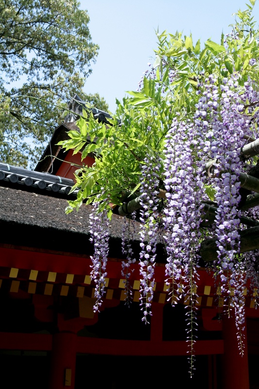 c0043403_1455937.jpg