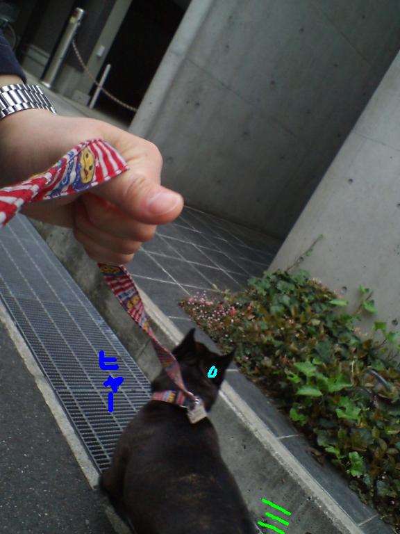 c0113109_184012100.jpg