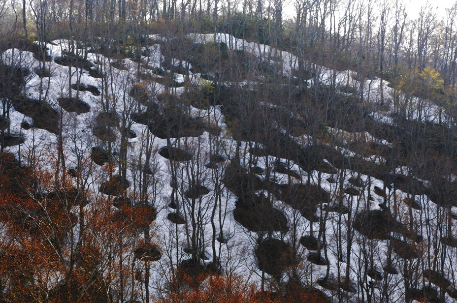 a0094711_091969.jpg
